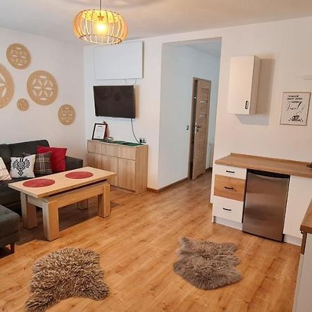 Apartament Na Brzyzku ザコパネ エクステリア 写真