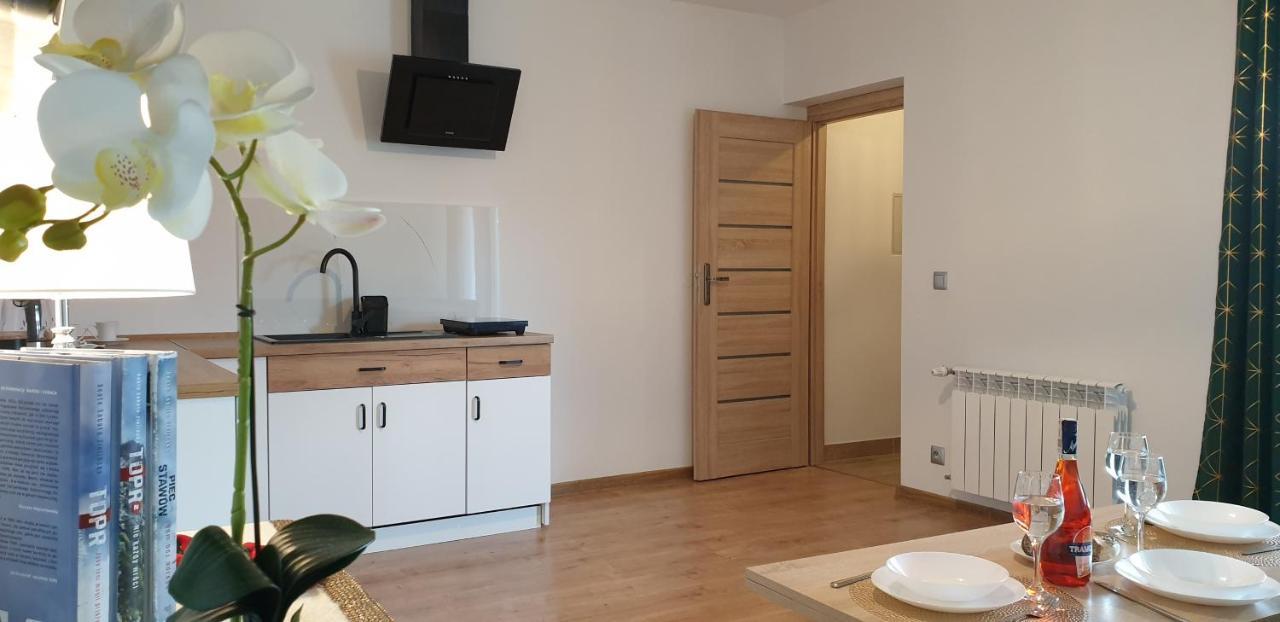 Apartament Na Brzyzku ザコパネ エクステリア 写真