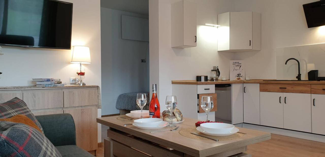 Apartament Na Brzyzku ザコパネ エクステリア 写真