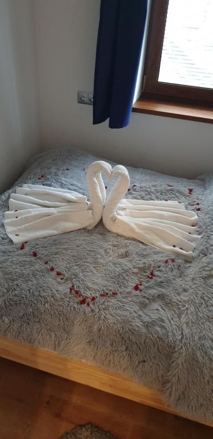 Apartament Na Brzyzku ザコパネ エクステリア 写真