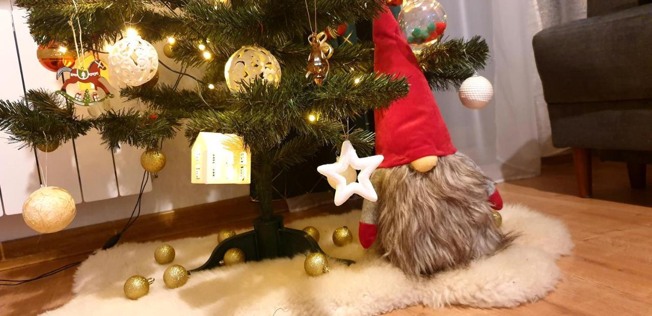 Apartament Na Brzyzku ザコパネ エクステリア 写真