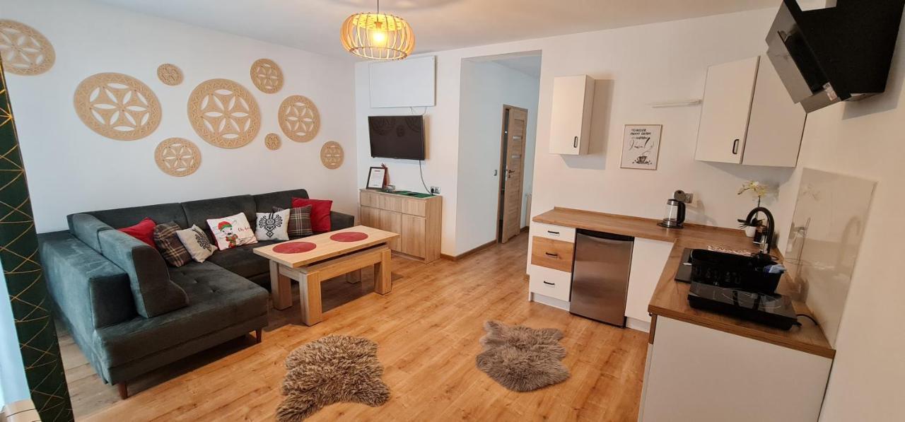 Apartament Na Brzyzku ザコパネ エクステリア 写真