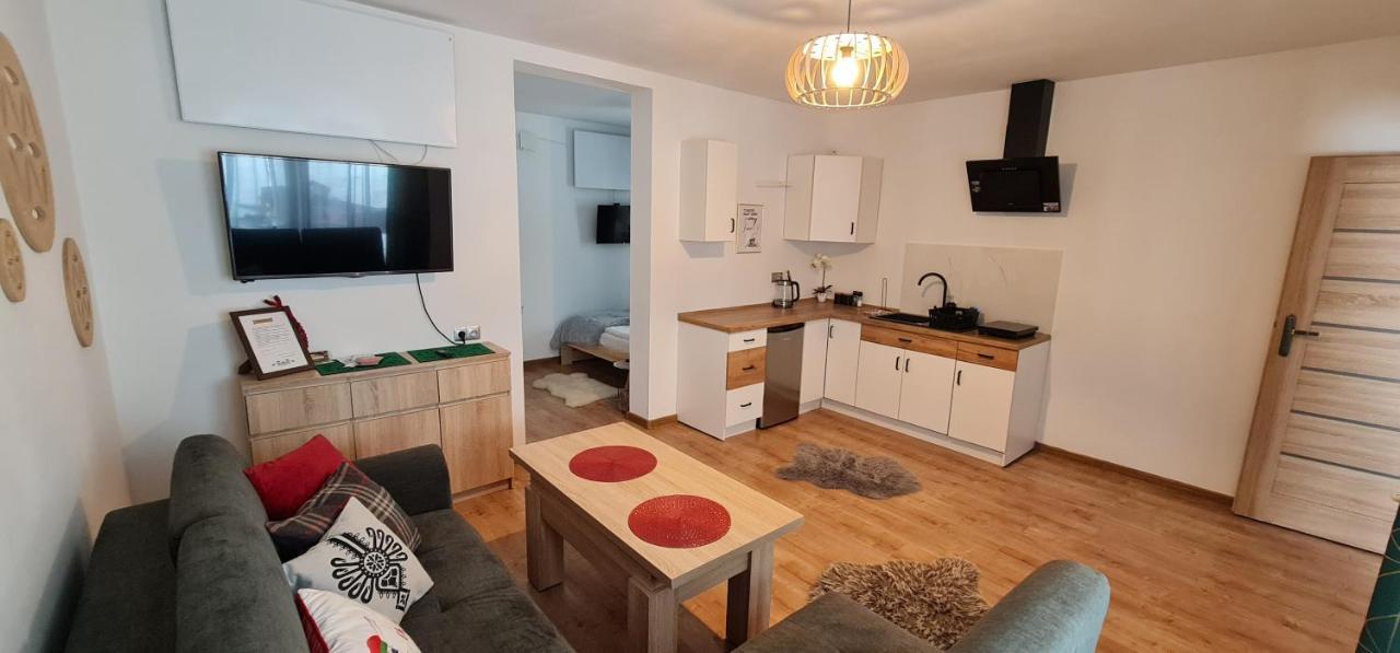 Apartament Na Brzyzku ザコパネ エクステリア 写真
